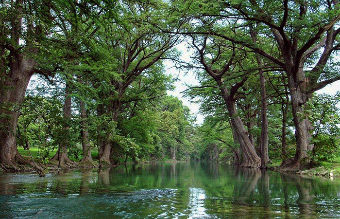 Clear Springs Lodging & Cabins of Utopia is in the Hill Country of Texas